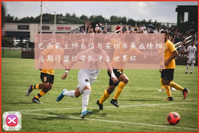 巴西前主帅自信与安切洛蒂成绩相当期待留任带队冲击世界杯
